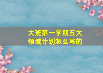 大班第一学期五大领域计划怎么写的