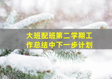 大班配班第二学期工作总结中下一步计划