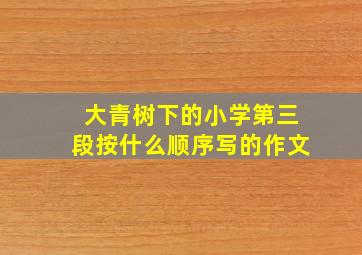 大青树下的小学第三段按什么顺序写的作文