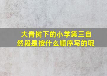 大青树下的小学第三自然段是按什么顺序写的呢