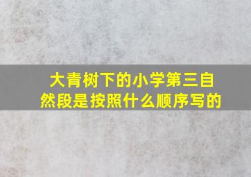 大青树下的小学第三自然段是按照什么顺序写的