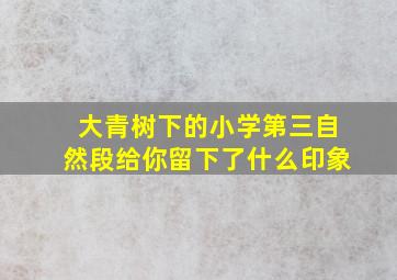 大青树下的小学第三自然段给你留下了什么印象