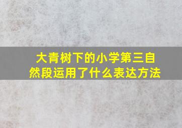 大青树下的小学第三自然段运用了什么表达方法