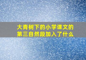 大青树下的小学课文的第三自然段加入了什么