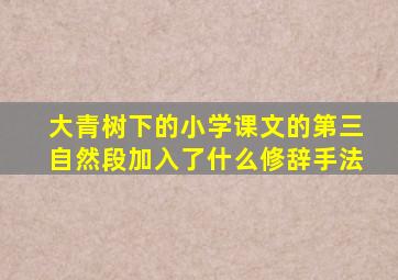 大青树下的小学课文的第三自然段加入了什么修辞手法