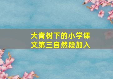 大青树下的小学课文第三自然段加入