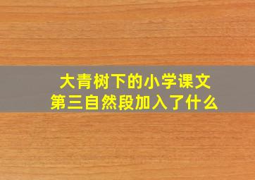 大青树下的小学课文第三自然段加入了什么