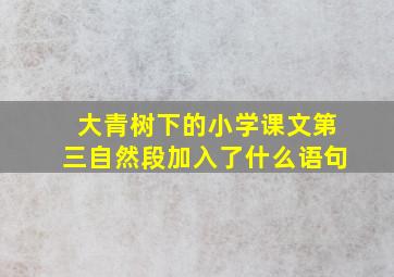 大青树下的小学课文第三自然段加入了什么语句