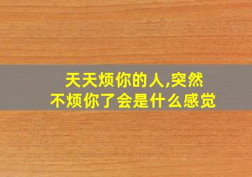 天天烦你的人,突然不烦你了会是什么感觉