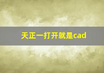 天正一打开就是cad