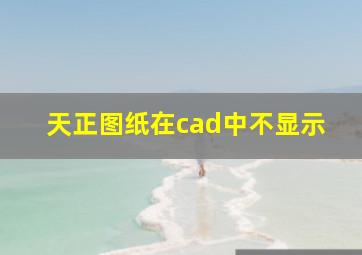 天正图纸在cad中不显示