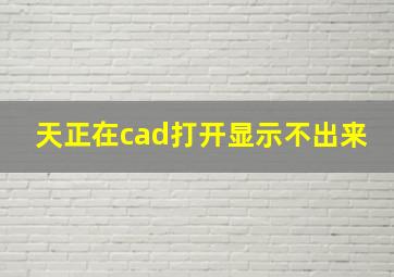 天正在cad打开显示不出来