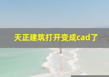 天正建筑打开变成cad了