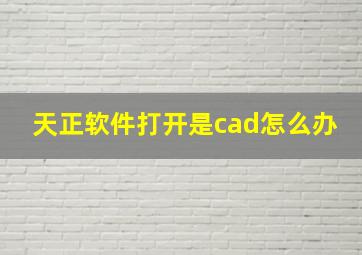 天正软件打开是cad怎么办