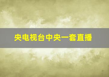 央电视台中央一套直播