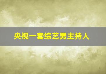 央视一套综艺男主持人