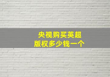 央视购买英超版权多少钱一个