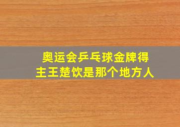 奥运会乒乓球金牌得主王楚饮是那个地方人