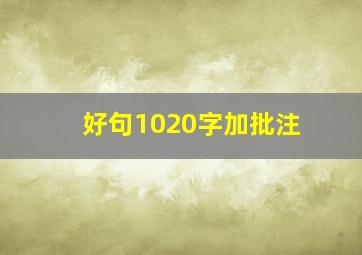 好句1020字加批注