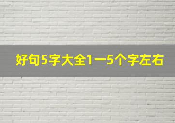 好句5字大全1一5个字左右