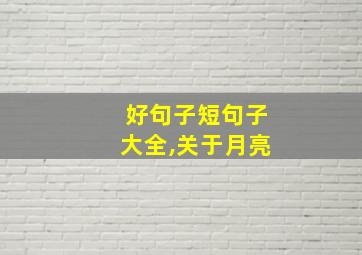 好句子短句子大全,关于月亮