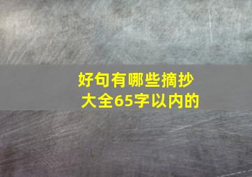 好句有哪些摘抄大全65字以内的