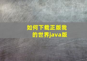 如何下载正版我的世界java版