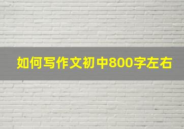 如何写作文初中800字左右