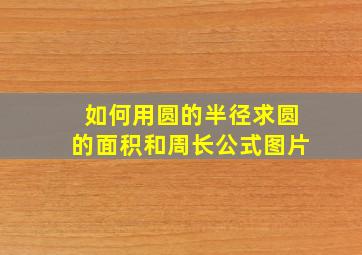 如何用圆的半径求圆的面积和周长公式图片