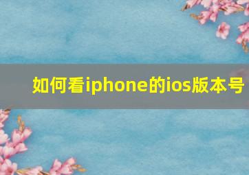 如何看iphone的ios版本号