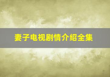 妻子电视剧情介绍全集