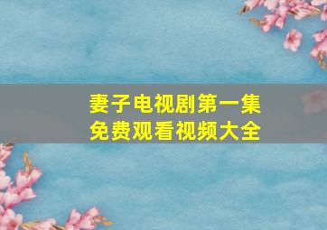 妻子电视剧第一集免费观看视频大全