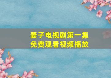 妻子电视剧第一集免费观看视频播放