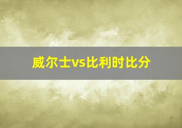 威尔士vs比利时比分