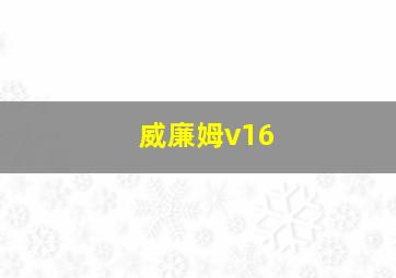 威廉姆v16