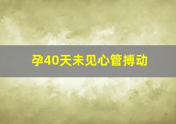 孕40天未见心管搏动