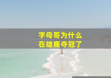 字母哥为什么在雄鹿夺冠了