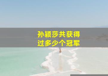 孙颖莎共获得过多少个冠军