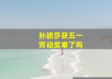 孙颖莎获五一劳动奖章了吗