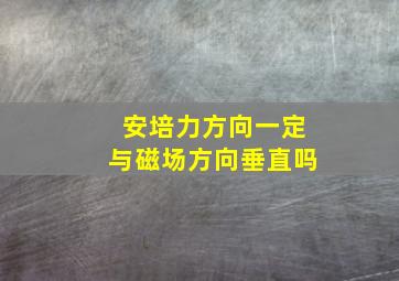 安培力方向一定与磁场方向垂直吗