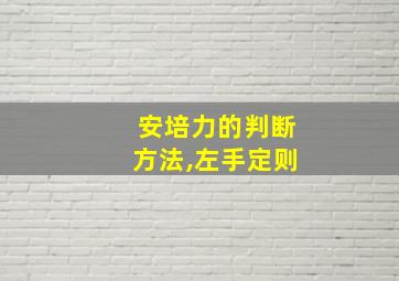 安培力的判断方法,左手定则