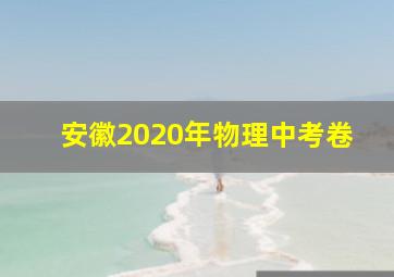 安徽2020年物理中考卷