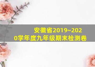 安徽省2019~2020学年度九年级期末检测卷