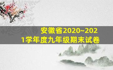 安徽省2020~2021学年度九年级期末试卷