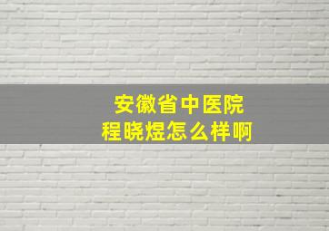 安徽省中医院程晓煜怎么样啊