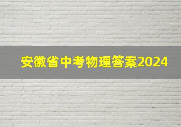 安徽省中考物理答案2024