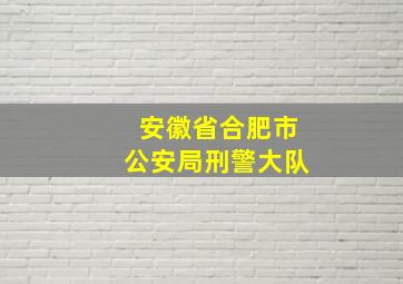 安徽省合肥市公安局刑警大队