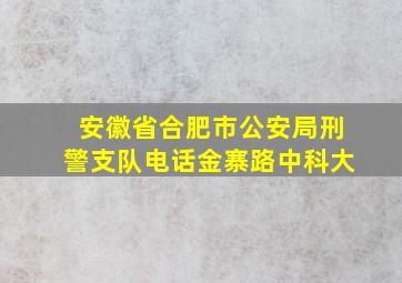 安徽省合肥市公安局刑警支队电话金寨路中科大