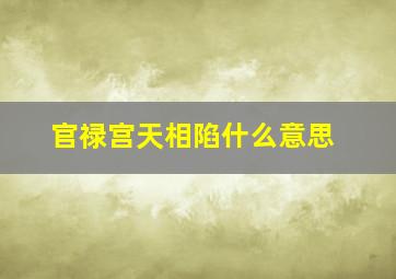 官禄宫天相陷什么意思