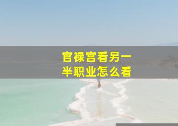 官禄宫看另一半职业怎么看